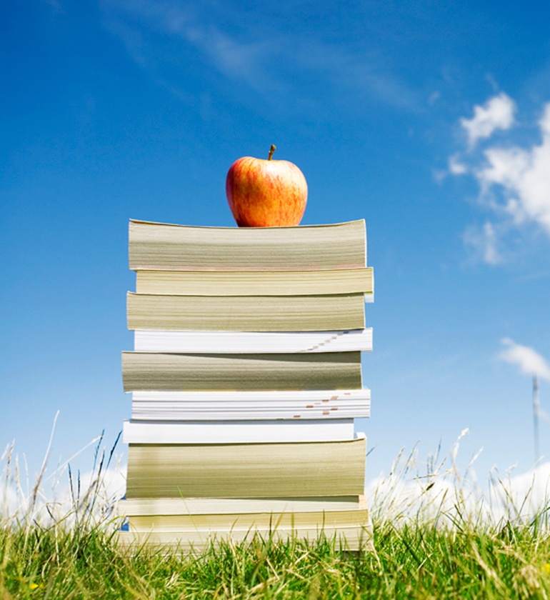 green school report